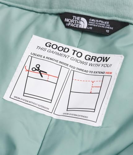Image of The North Face Kids Girl's Freedom Insulated Pants (Little Kids /Big Kids)