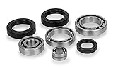 QuadBoss Differential Bearing and Seal Kit 25-2096