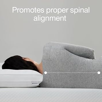 Coop Sleep Goods 2 Essence Down Alternative Cooling Pillows + 2 Ultra-Tech Waterproof Pillow Protectors Queen Bundle
