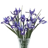 Lcuasc 10pcs Artificial Iris Flowers with 27.5' Long Stem Realistic Faux Silk Iris Flowers for Wedding Centerpieces Bridal Bouquet Home Kitchen Party Décor Flower Arrangements(Deep Purple)