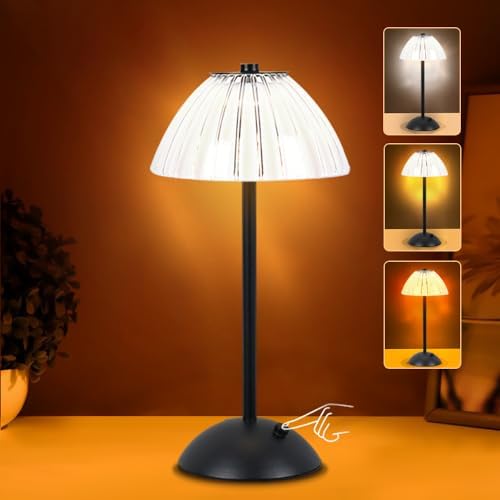 Rechargeable Lamp Portable Metal Desk Lamp, Cordless LED Table