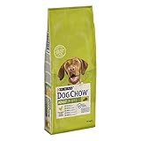 Cibo per cani realizzato con ingredienti naturali selezionati e contiene inoltre un prebiotico naturale che contribuisce alla sua salute digestiva