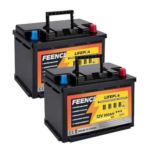 2 PACK of 12V 100Ah LiFePO4 Lithium Batterie MINI Size Height 188cm, 100A BMS Autobatterie, bis zu 15000 Zyklen, Mini-Größe für Wohnwagen, Wohnmobile, Boote, Trolling-motor, Solar