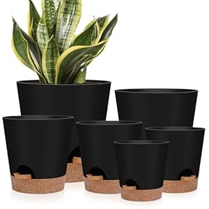 Indoor Self Watering Planters with Drainage Holes and Saucers, 8, 7, 6.5, 6, 5.5, 5 Inches, Black, 6 Pots