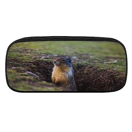 Fionel Groundhog Pu Leather Quad Pen Case Zipper Pencil Pouch Holder For Pens Case Office Storage Box Organizer Pen Bag(8×1.5×3.5 In) #TOP15