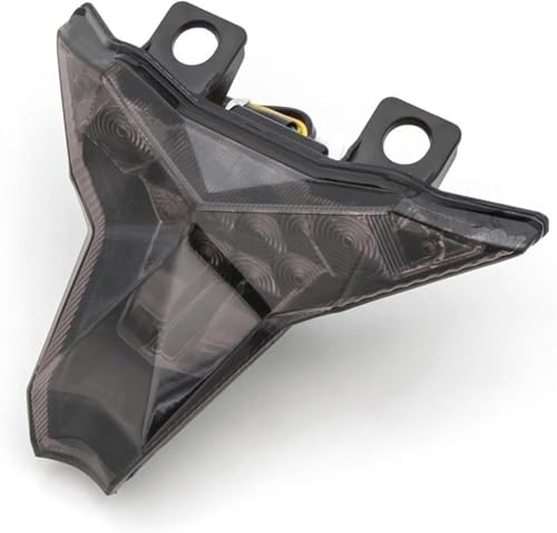 Luz trasera para Kawasaki Ninja 400 que elimina fallos de visibilidad con freno integrado