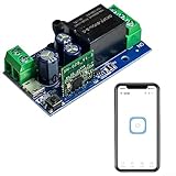 Wireless WiFi Smart Relais Modul für Haushaltsgeräte mit USB und DC Power Support, Mehrere Betriebsmodi für Smart Home Automation