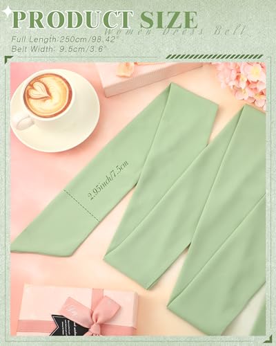 Image of Glitopper Women Chiffon Sash Belt Dress Sash Waist Bridal Wedding Belt 50s Accessories 3'' Wide
