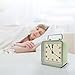 Rohome Small Alarm Clock, Retro Silent Quartz Movement with Night Light, Decorative Vintage Non Ticking Clock for Living Room, Office, Desk, Bedroom, Bedside, Hotel, Shelf, Nightstand (Green)
