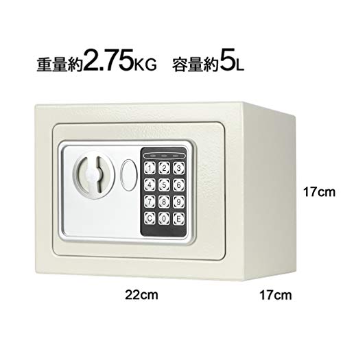 Lysmics 金庫 ミニ金庫 電子金庫 テンキー式 小型 家庭用 オフィス 壁付け対応 緊急キー付き 23*17*17cm (ホワイト) [4]