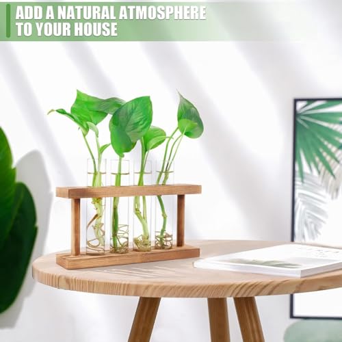 Image of ecofynd Test Tube Planter with Wooden Holder, Air Planter Glass Vase Holder with 4 Test Tube, Home Decor Hydroponic Plant Stand for Table Top, Desktop, Living Room, Office (TTP004)