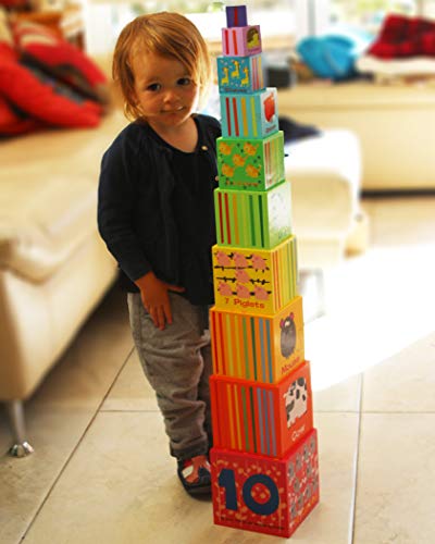 Towo Wooden Stacking Boxes-Nesting And Sorting Cups Numbers Alphabet Animals Blocks For Toddlers-Stacking Cubes Educational Toys For 2 Years Old Montessori Materials #TOP5