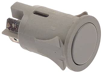 Momentary push switch mounting ø 25mm green 2NO 250V 16A illuminated connection male faston 6.3mm