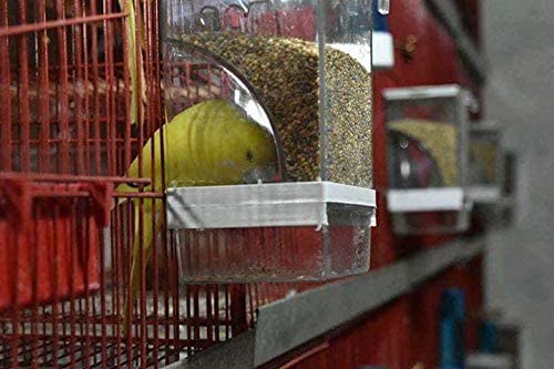 أكالة أوتوماتيكية للعصافير الزينة