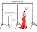 SLOW DOLPHIN Photo Video Studio 20ft (Wide) x 10ft (Tall) Heavy Duty Adjustable Width & Length Photography Backdrop Stand Background Support System Kit with Spring Clamps, Backdrop Clips, Carry Bag