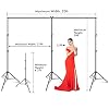 SLOW DOLPHIN Photo Video Studio 20ft (Wide) x 10ft (Tall) Heavy Duty Adjustable Width & Length Photography Backdrop Stand Background Support System Kit with Spring Clamps, Backdrop Clips, Carry Bag