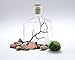 Terrarium Kit With Live Marimo Moss Balls - Small Glass Bottle Starter Set for Easy Indoor Plant Terrariums - Natural Centerpiece for Home Decor / Unique Gift Ideas by Aquatic Arts