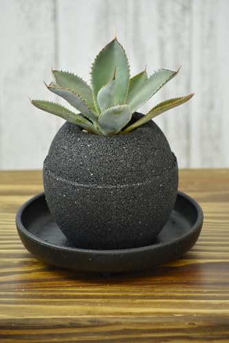 アクアプラントポット® 玉S(ブラック) 植木鉢 アガベ(2084)
