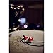 Sennheiser Pro Audio IE 100 Pro Wired In-Ear Monitor, Red