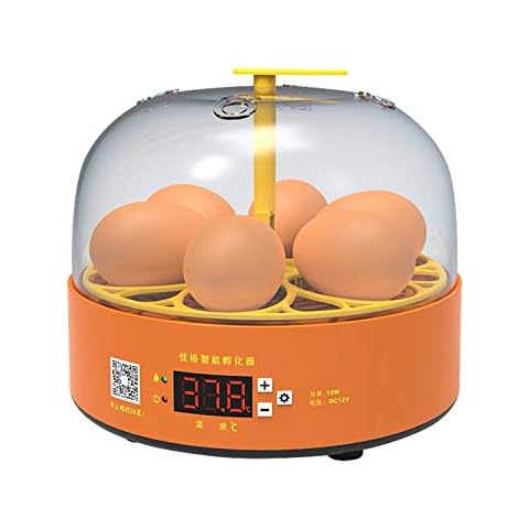 XIANBAO Egg Incubator Hatcher - 6 Eggs Digital Mini Fully Automatic Egg Incubator with Temperature and Humidity Control Automatic,Egg Incubator for Hatching Chicken Duck (Manually) Cover