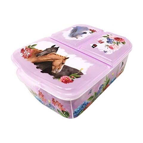 Theonoi Children's Lunchbox, Sandwich Box Cover