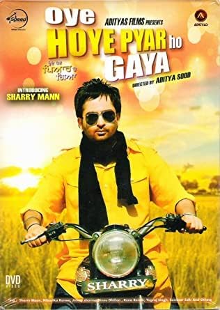 Oye Hoye Pyar Ho Gaya 2013 [DVD]