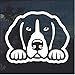 myrockshirt Peeking Dog Beagle Comic - Pegatina para coche, aprox. 20 cm, resistente a los rayos UV y a los túneles de lavado, calidad profesional