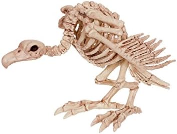 Crazy Bonez Skeleton Vulture – 10" Halloween Skeleton Bird