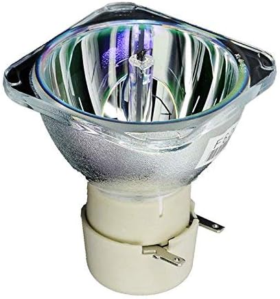 BL-FU195C Replacement Projector Bare Lamp Bulb Compatible for OPTOMA HD27/S341/DS441/DS349/TS342/X341/DX441/DX349/TX342/OPX3658/X340/RS360X/X341G/W341/W340/TW342/H115