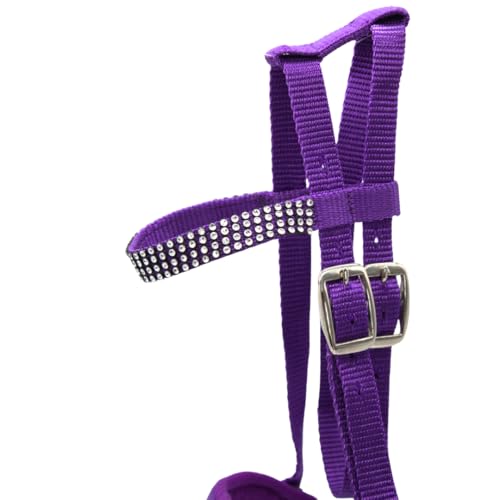 PFIFF 103126 Trensenzaum „Lotty“ für Spiel- & Holzpferde, Spieltrense, Trense für Spielpferd, Einheitsgröße, Lila