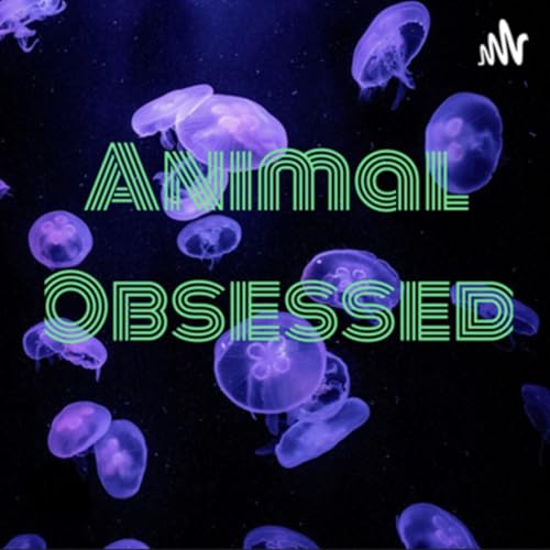 Animal Obsessed cover art