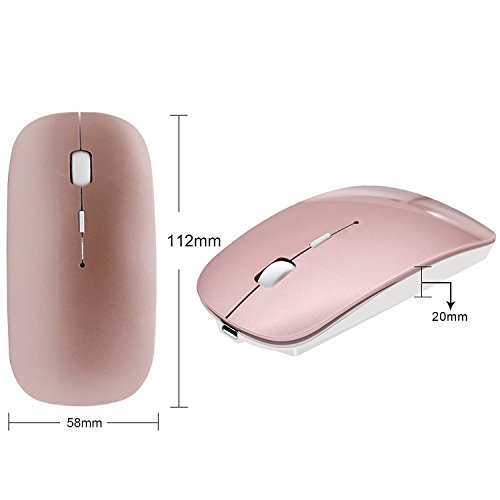https://m.media-amazon.com/images/I/41DonOUdKKL._SL500_.jpg