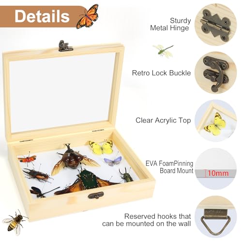 Herstellung von Insektenproben Werkzeug-Set, (Insektennadeln, Insektenschattenbox, Insekten-Pinnbrett, Flügelpresspapier, Pinzette, Schere), Insektenproben-Sammeldisplay für Käfer,