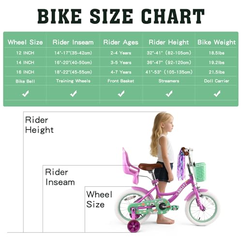Image of RULLY 12 14 16 Inch Girls Bike with Doll Seat Basket and Training Wheels for 2-6 Years Children