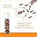 Neutrogena Rapid Tone Repair 20% Vitamin C Brightening Serum Capsules, Antioxidant Face Serum to Brighten Look of Dark Spots & Even Skin Tone, Oil-Free, 30 Serum Capsules