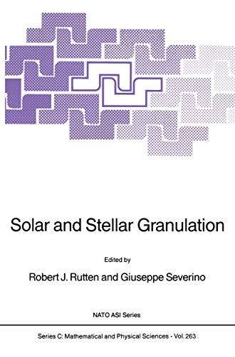 Solar and Stellar Granulation (Nato Science Series C:, Band 263)