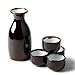 KBNI 5-Piece Japanese Sake Set Sky Blue Rim include 1PC Sake bottle and 4PCS Sake Cups