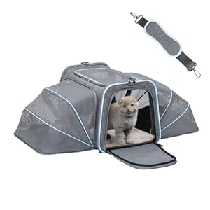 Petsfit Expandable Cat Carriers Airline Approved, 16″x10″x9″ Small Dog Carrier Soft-Sided Portable Washable Pet Travel Carrier with Two Extension for Kitten,Rabbit, Puppy, Small Animal