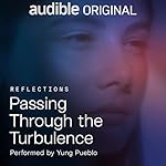 Cover of Passing Through the Turbulence