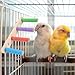 POPETPOP Parrot Climbing Ladder Toy Multi Wooden Step Ladder for Parakeets Cockatiels and Lovebirds Engaging Exercise and Activity Plaything for Birds