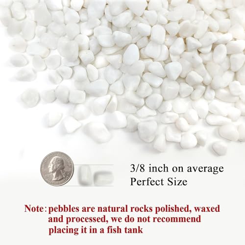 Image of FANTIAN 10 lbs White Pebbles for Indoor Plants, 3 /8 Inch Decorative White Stones. Polished River Rocks for Potted Plants Vase Cactus Bird Bath and Outdoor Garden Landscaping