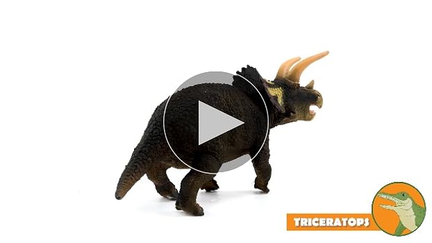 未使用TRICERATOPS トライセラトップス 風船 未使用TRICERATOPS トライセラトップス 風船 未使用TRICERATOPS