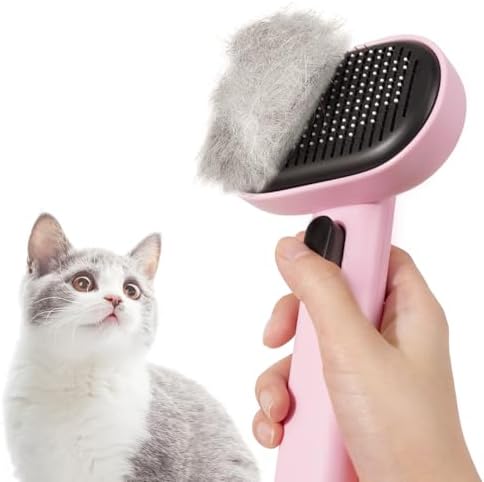 How to Brush a Cat - PetMD