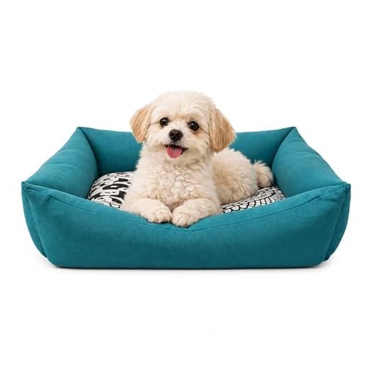 Cuna Dog's T3 - Cama para Perros Medianos - 62 x 49 x 15 cm - Talla M - Máxima Comodidad - Descanso Placentero y Agradable - Accesorios para Perros - Consentida