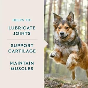 Vetiqglucosaminehipjointsupplementfordogs180softchewsdogjointsupportsupplementwithmsmandkrilldoghealthsupplieslargesmallbreedchickenflavoredchewables Urban Country Home Decor Vetiq glucosamine hip joint supplement for dogs 180 soft chews dog joint support supplement with msm and krill dog health supplies large small breed chicken flavored chewables urban country home decor