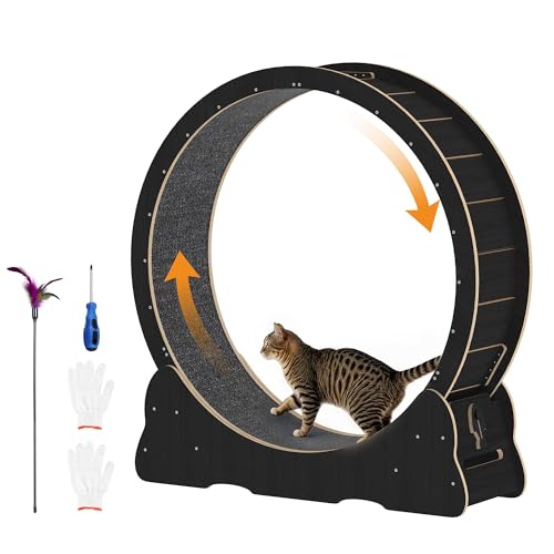 JFHID Cat Exercise Wheel for Indoor Cats, Quiet Large Cat