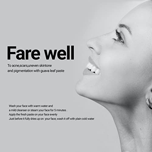 Akshit Te Hojas De Guayaba, Organic Guava Leaves, 2.6Oz (75G), Dried From Fresh Guava Leaves, Caffeine Free, Natural Guava Leaf, Caffeine Free, Non Gmo, Perfect For Herbal Tea. #TOP7