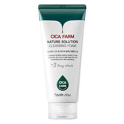 Farmstay Cica Farm Nature Solution Reinigungsschaum fĂĽr das Gesicht Centella Asiatica 180 ml