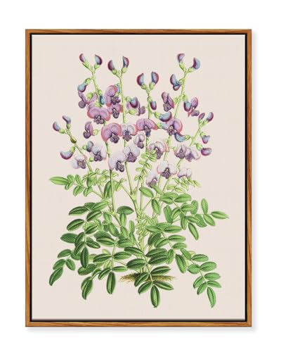 MHARTK66 Cuadros Decoracion Dormitorios con Marco Madera, 30x40 cmVintage Planta Lienzos Decorativos Pared Salon, Cuadros Pequeños Decoracion...