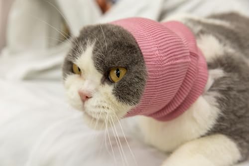 Image of Cat Ear Cover Noise Cancelling Headphones Neck Hematoma Compression Comfort Ear Wrap for Cats Wine Red S